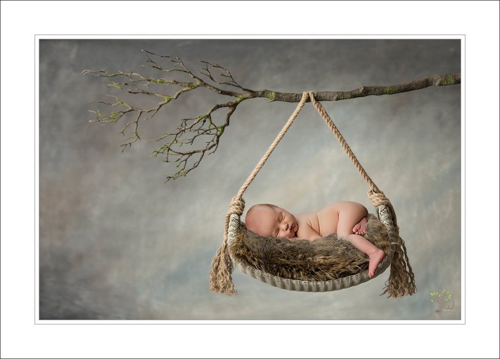 Best Seattle newborn photographer